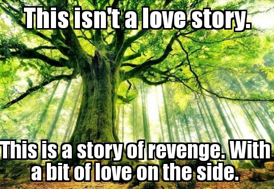 Not another love story.jpg