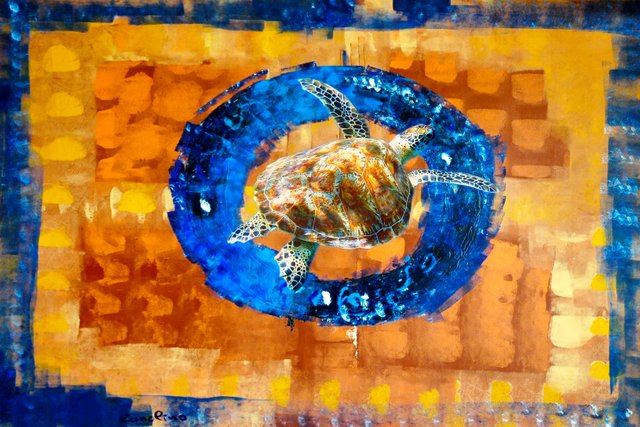 Sea turtle blue target.jpg