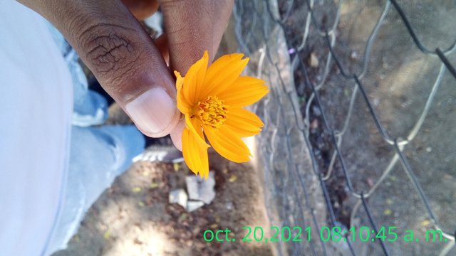 IMG_ 20211020_081047.jpg