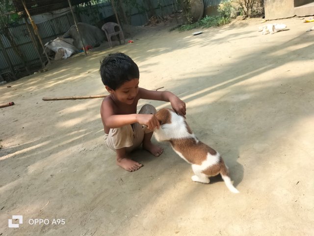 IMG20250328093613.jpg