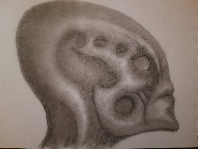 20250516_110909.jpg