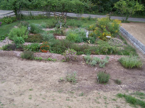 New Herb garden crop September 2019.jpg