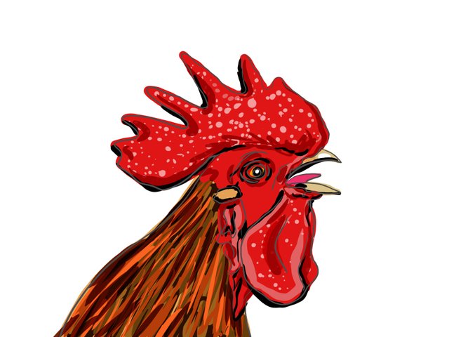 rooster(693).jpg