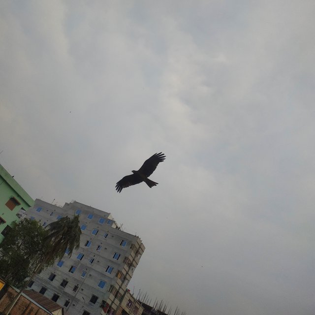 IMG_20230523_072302.jpg