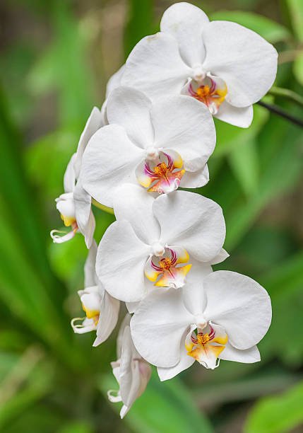 istockphoto-162414539-612x612.jpg