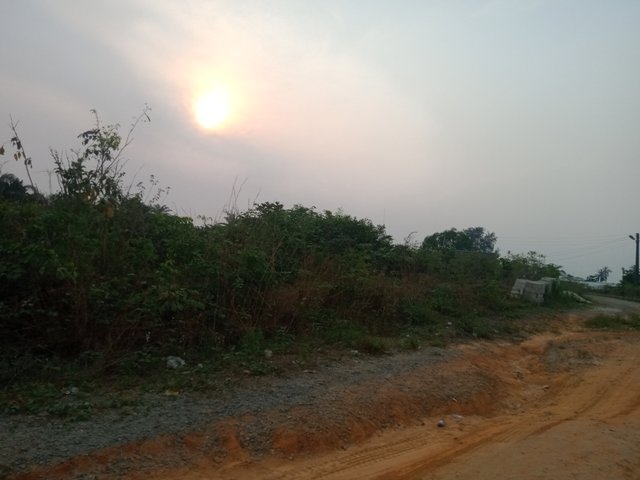 IMG20250205172908.jpg