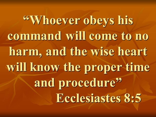 Be wise with others. Whoever obeys his command will come to no harm, and the wise heart will know the proper time and procedure.jpg