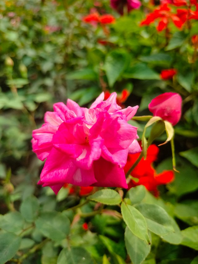 IMG20240214134454.jpg