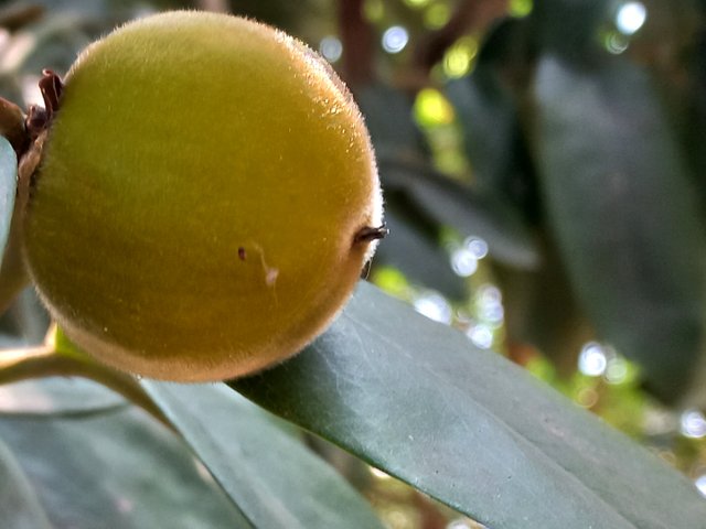 20230509_090017.jpg