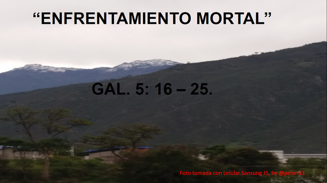 Captura de pantalla (97).png