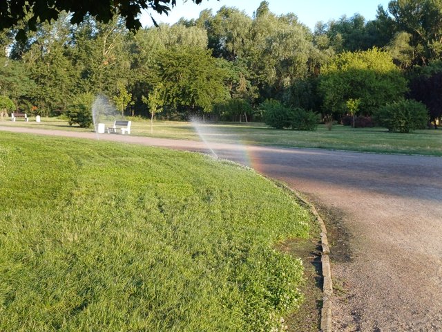 20250722_064636.jpg