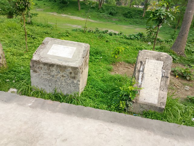1000038274.jpg