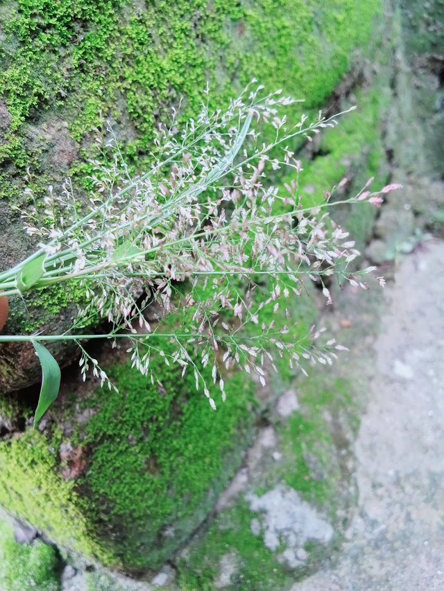 IMG20250605180109.jpg