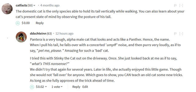 Stinky the Cat Epitaph Pulling the tail.PNG