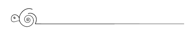 Horizontal-Line-PNG-Image.png