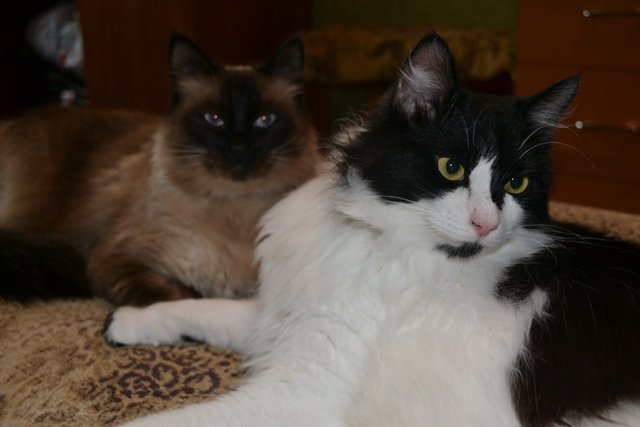 DSC_0084.JPG