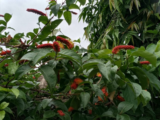 20230503_062637.jpg