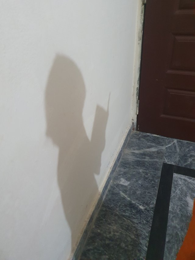 20250708_131138.jpg