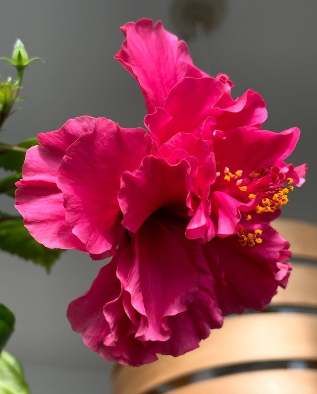 IMG_20250918_233018.jpg