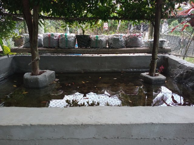 IMG20250424182505.jpg