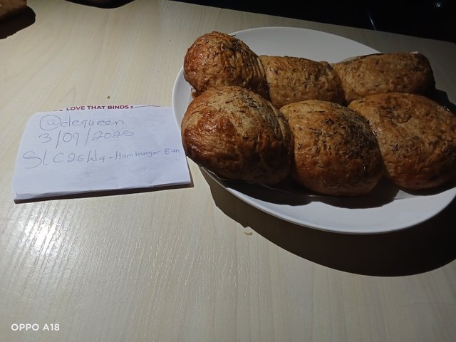 IMG20250903184809.jpg