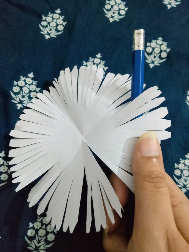 1000083070.jpg