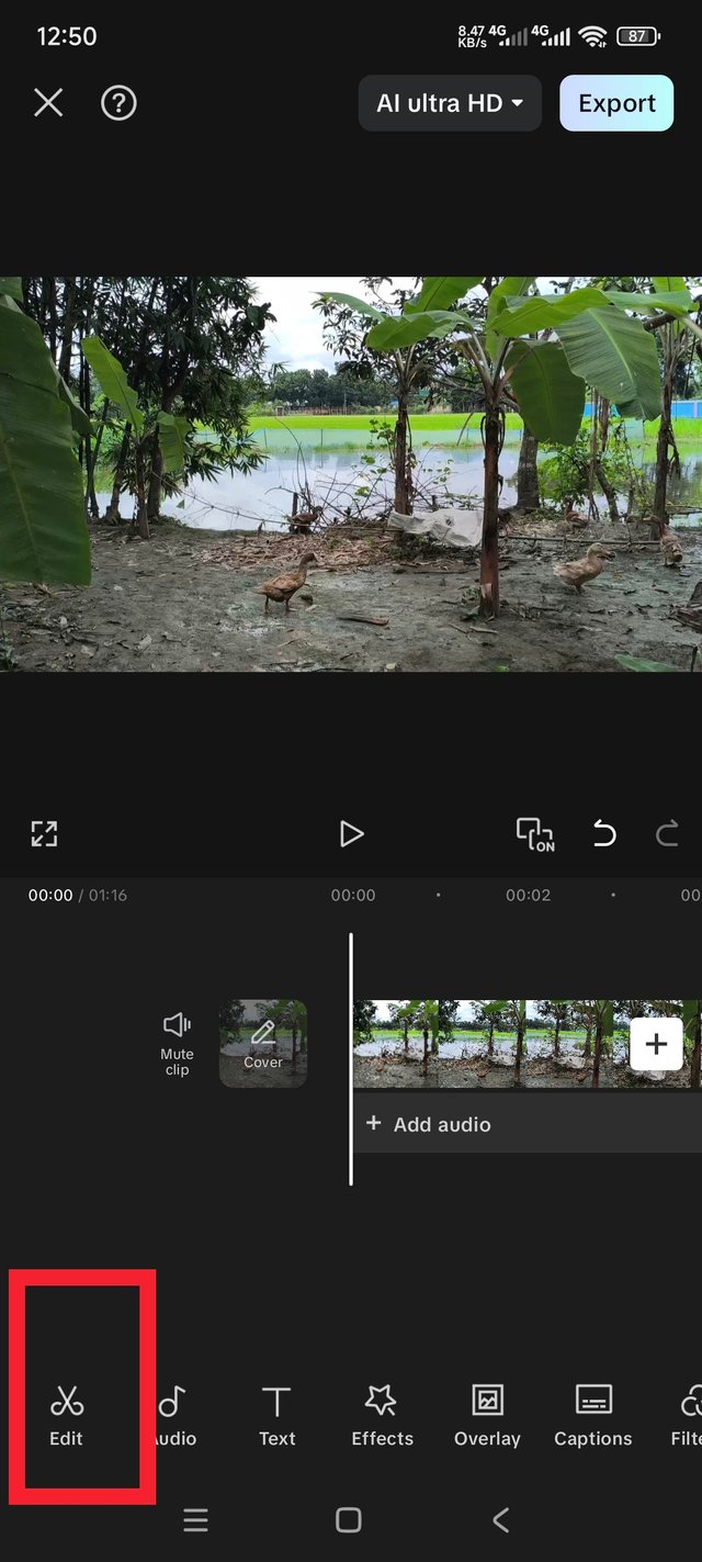 1000050412.jpg
