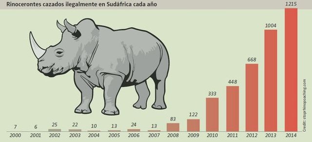 Caza-furtiva-rinocerontes-Sudafrica-Stoprhinopoachingcom_EDIIMA20150521_0793_5.jpg