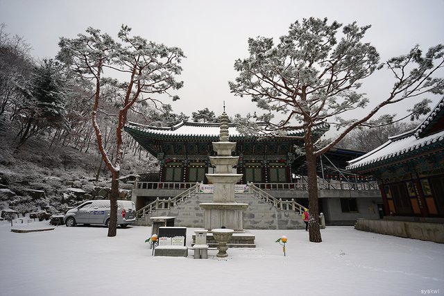 w-DSC00080.jpg