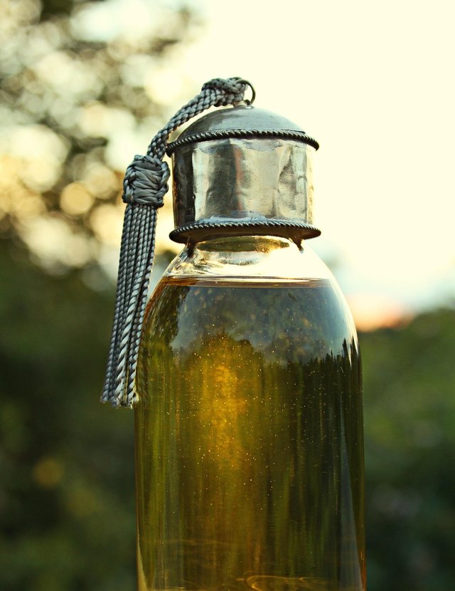 argan-4287983_1280.jpg