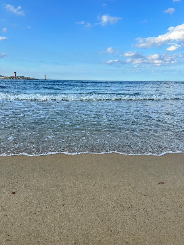 IMG_8536.jpeg