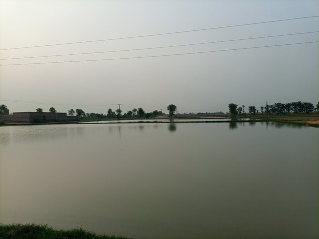 IMG_20250619_180628_273.jpg