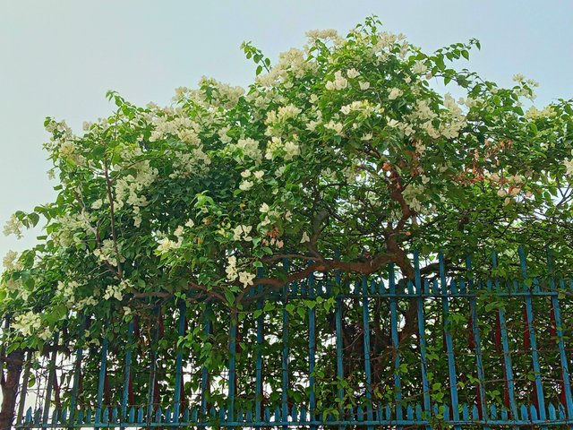20250505_143203.jpg