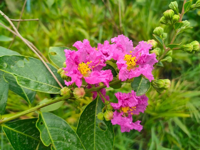 IMG20240708083145.jpg