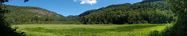 Sleeping Giant Panorama Thicket.jpg