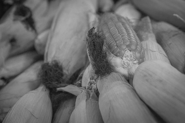 marcado taibessi vegetables corn 10 bw-5.jpg