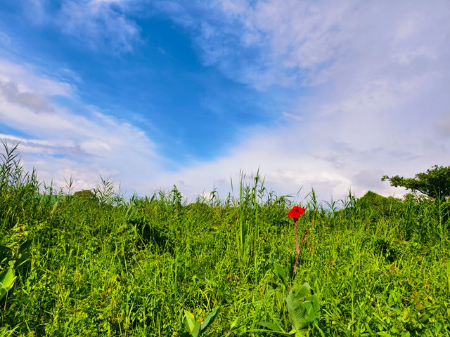 IMG_20250702_081450.jpg