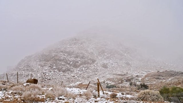 http___cdn.cnn.com_cnnnext_dam_assets_220120114449-07-snow-saudi-arabia.jpg