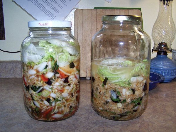 Napa cabbage and Korean radish kimchi crop Nov. 2018.jpg