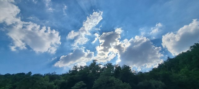 20250726_155648.jpg