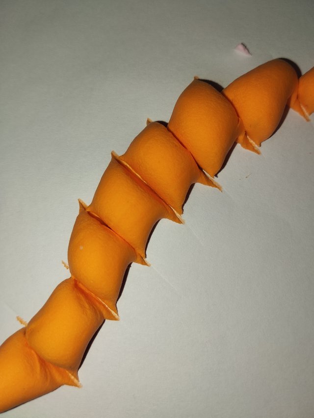 1000029828.jpg