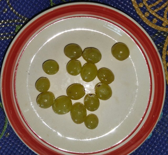 1000042072.jpg