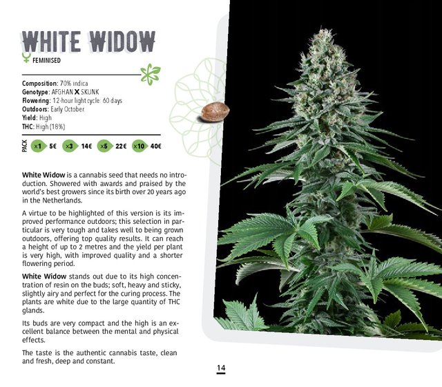 Atomik-Seeds-Catalog-autoflowering-and-feminised-cannabis-seedbank-014.jpg