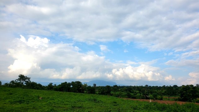 20250717_170423.jpg