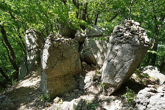 b-DSC04207.JPG