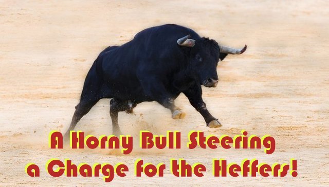 horneybull.jpg