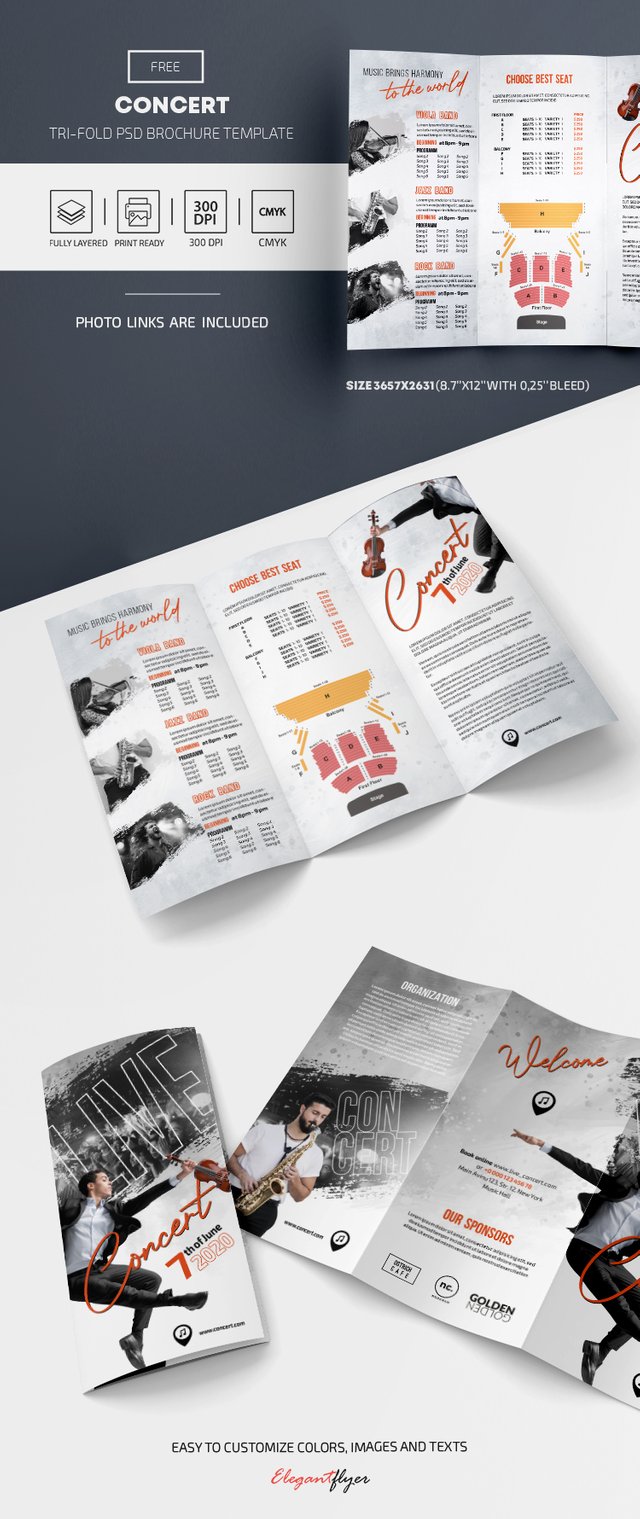 Bigpeview_free-live-music-concert-brochure-template-bi-fold.jpg