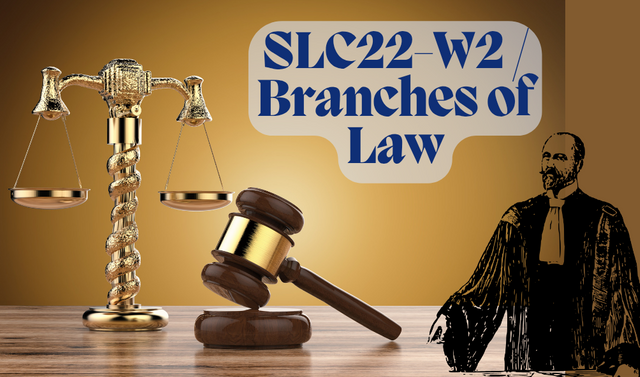 SLC22-W2 _ Branches of Law_20241225_234031_0000.png