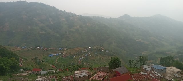 20250612_131222.jpg