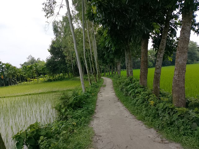1000047518.jpg